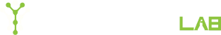 SaaS Development Company