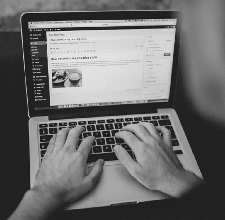 WordPress Development Company USA