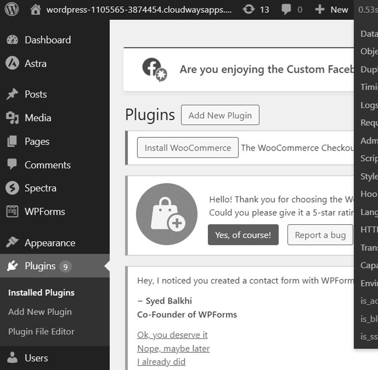 Custom WordPress Development