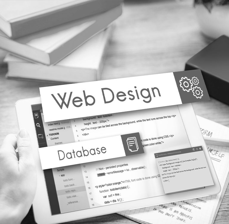 Website Redesign Services
